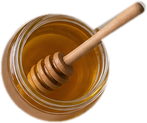 honey or sugar