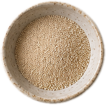 yeast