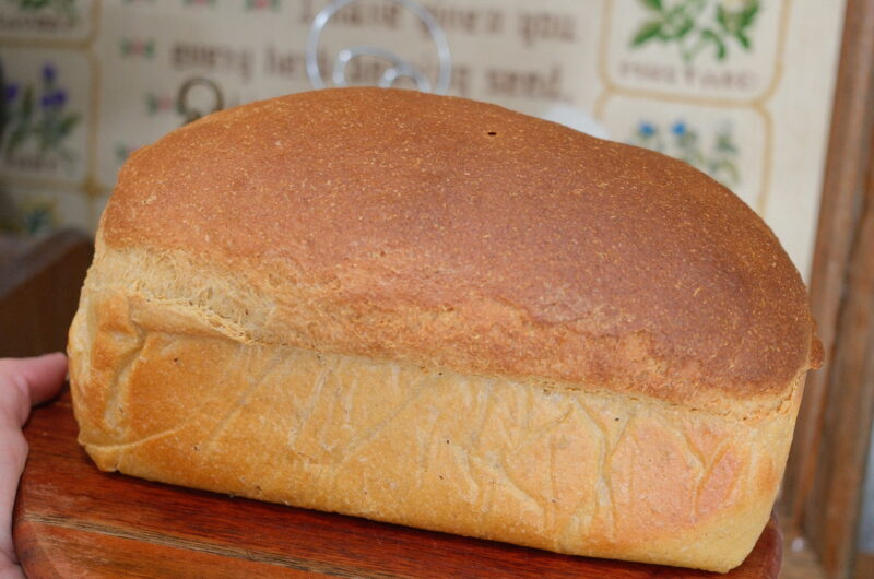 My Go To Freshly Milled Flour Sandwich Bread